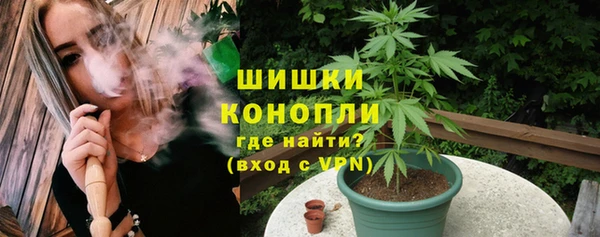 сатива Себеж