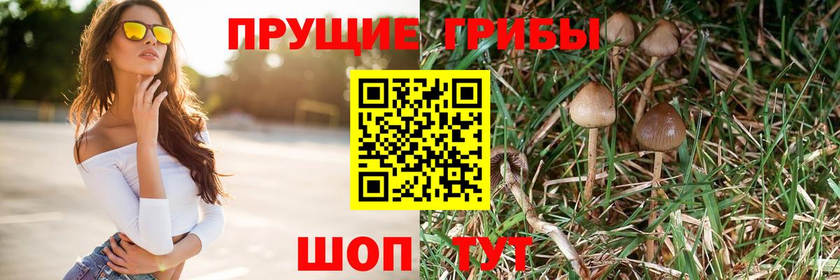 Псилоцибиновые грибы Psilocybine cubensis  Галлюциногенные грибы мухоморы  Вход с VPN  Черемхово 